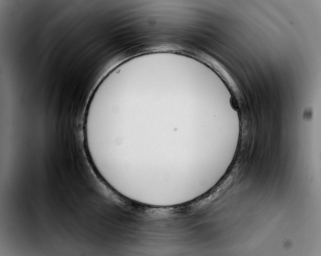 X0000103410810200810241207