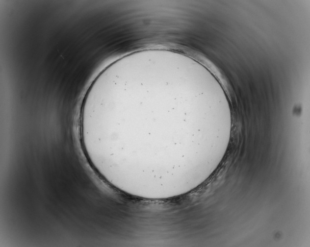 X0000103410811200810241207