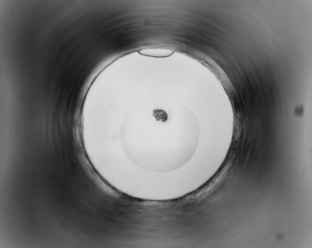 X0000103410812200810241207