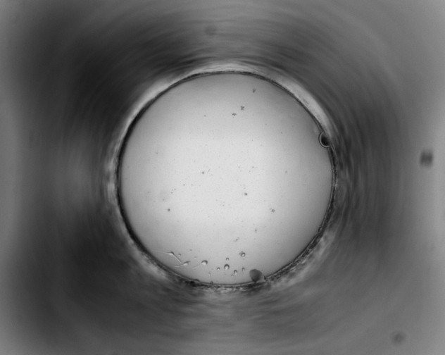 X0000103410813200810241207