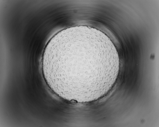 X0000103410814200810241207