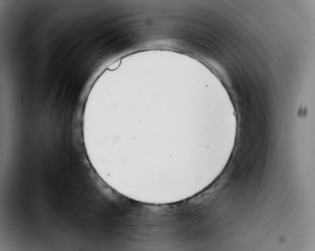 X0000103410816200810241207