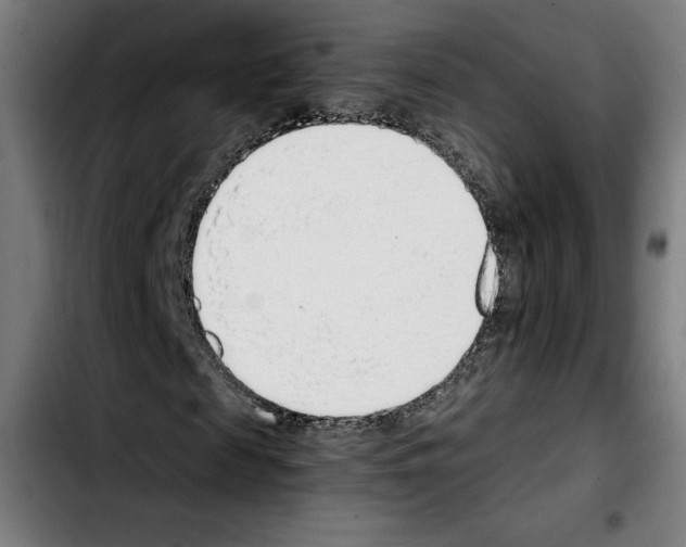 X0000103410817200810241206