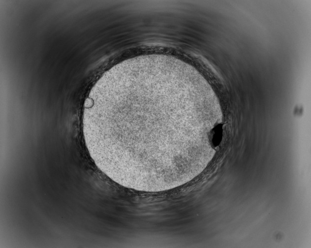 X0000103410821200810241206