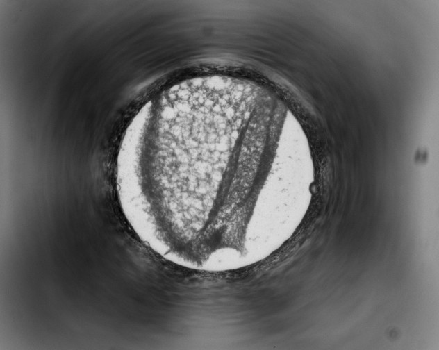 X0000103410822200810241206