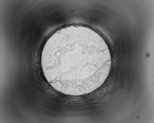 X0000103410823200810241206