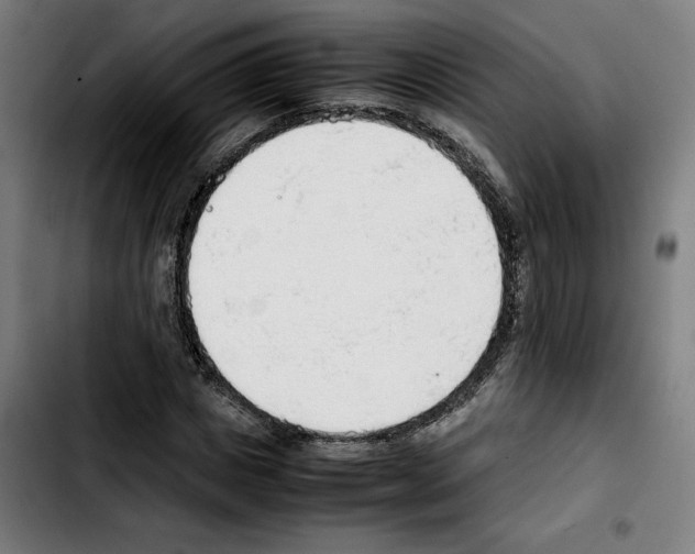 X0000103410825200810241206