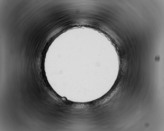 X0000103410826200810241206