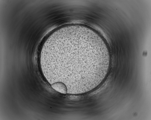 X0000103410827200810241206