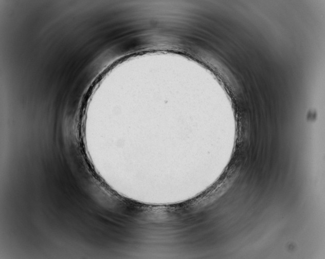 X0000103410828200810241206