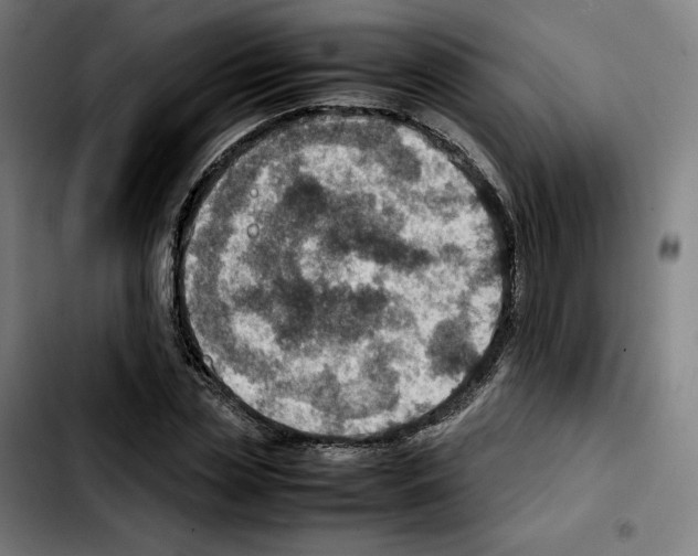 X0000103410829200810241206