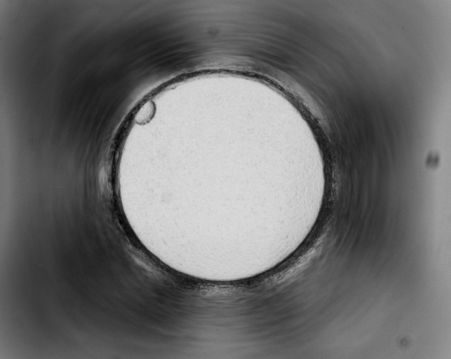 X0000103410830200810241206