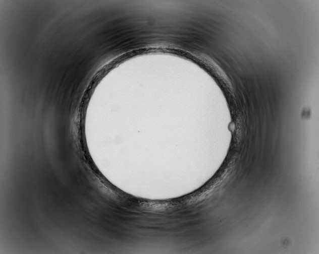 X0000103410831200810241206