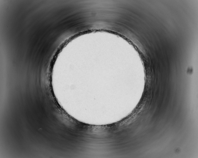 X0000103410832200810241206