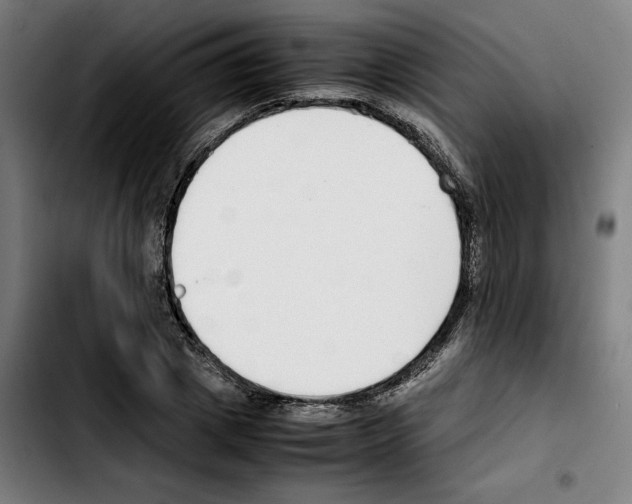 X0000103410833200810241206