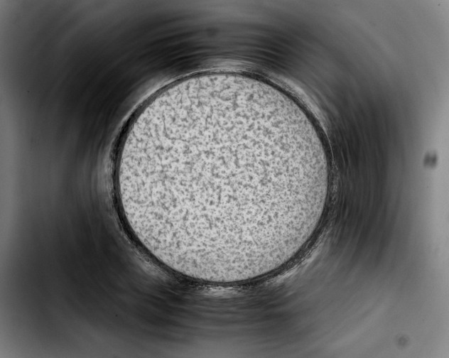 X0000103410835200810241206