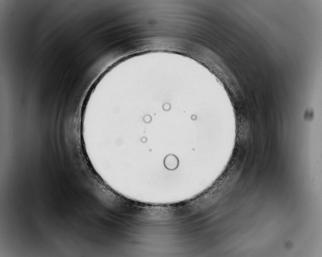 X0000103410836200810241206