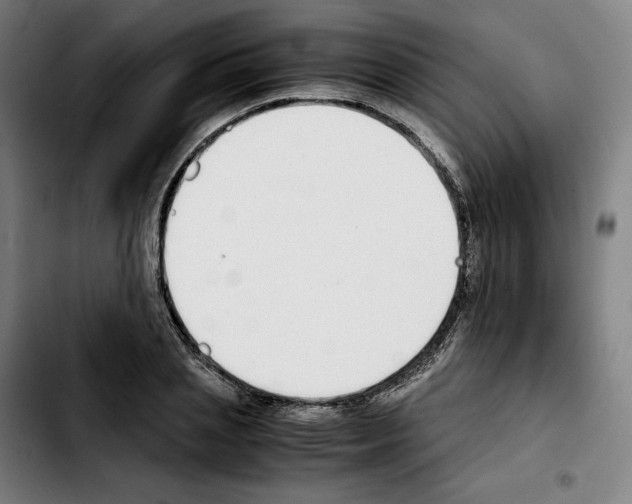 X0000103410837200810241206