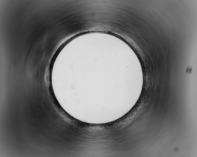 X0000103410838200810241206