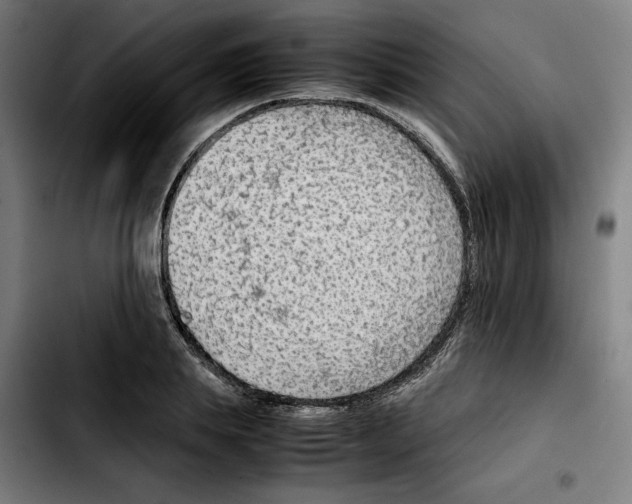 X0000103410839200810241207