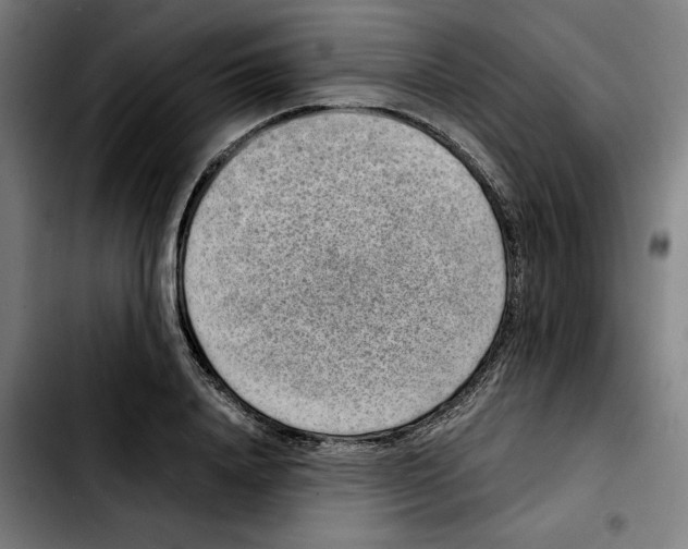 X0000103410840200810241207