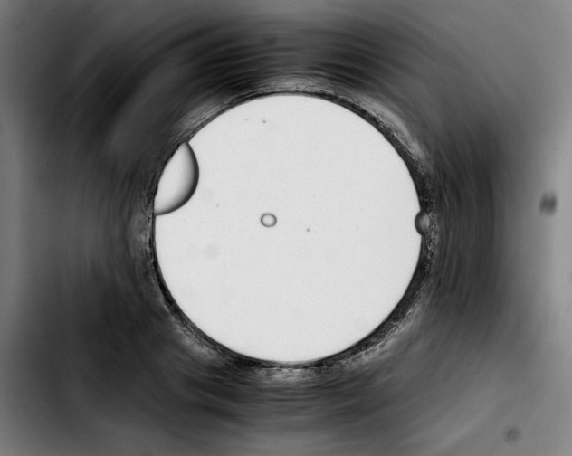 X0000103410841200810241207