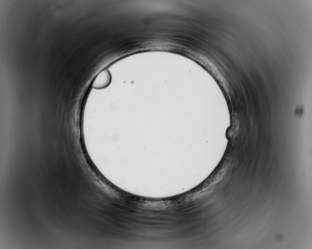 X0000103410843200810241207