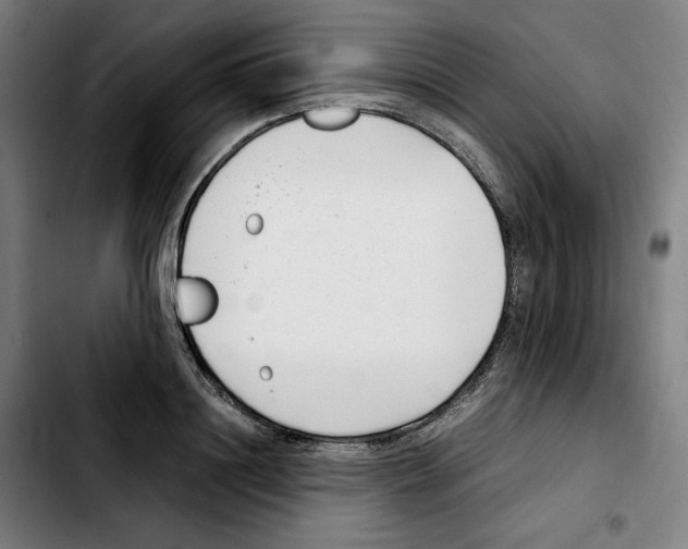 X0000103410844200810241207