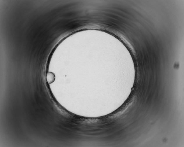 X0000103410845200810241207