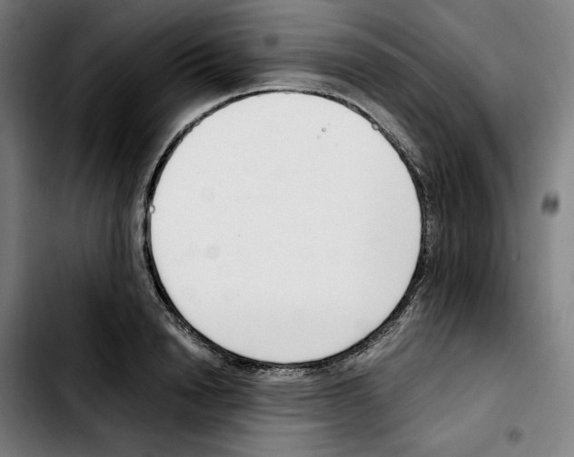 X0000103410846200810241207