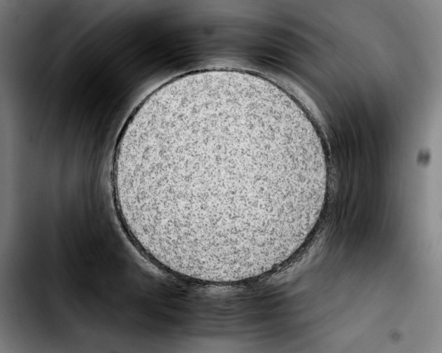 X0000103410847200810241207