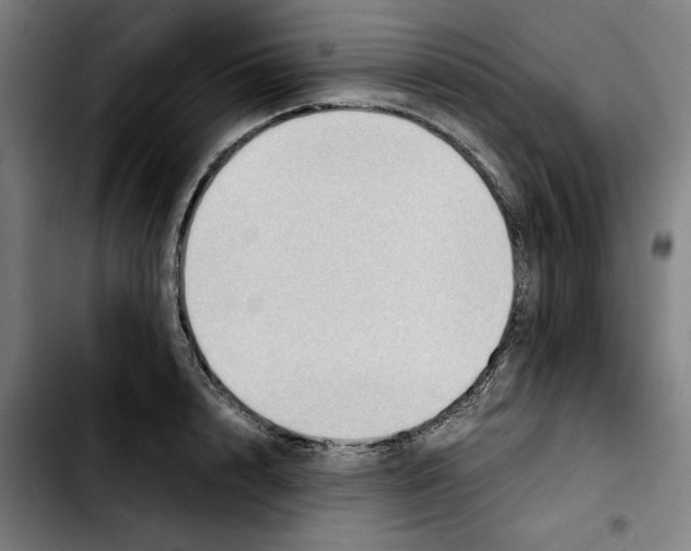 X0000103410848200810241207