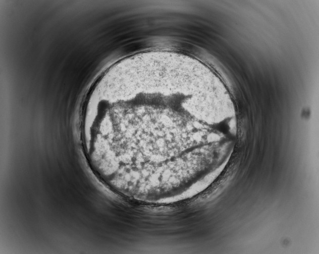 X0000103410851200810241207