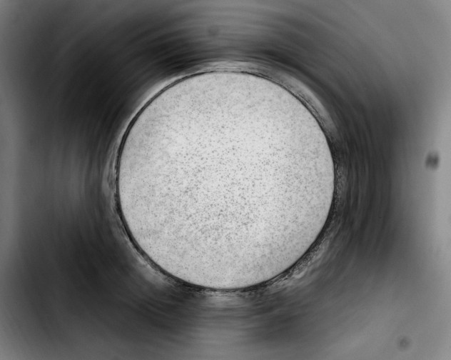 X0000103410852200810241207