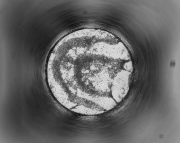 X0000103410853200810241207