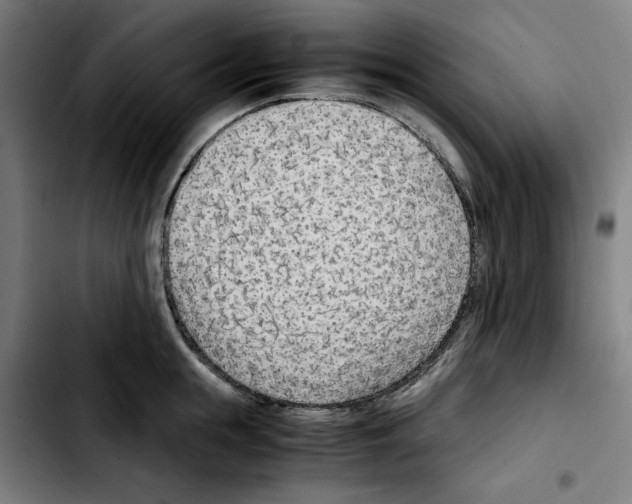 X0000103410855200810241207