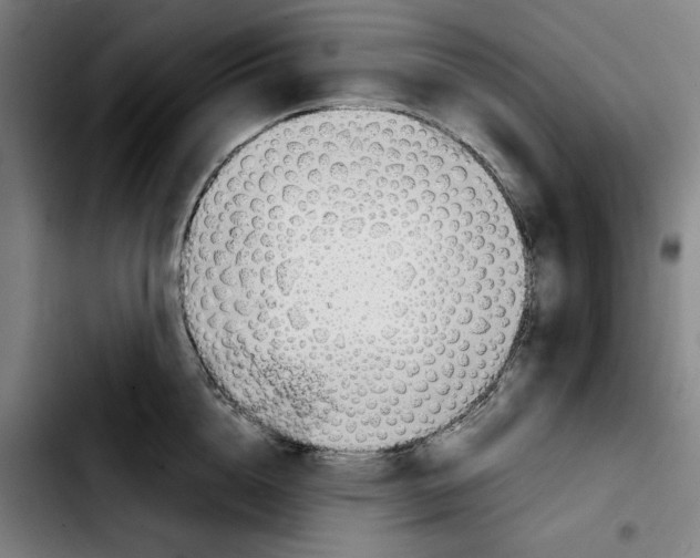 X0000103410856200810241207