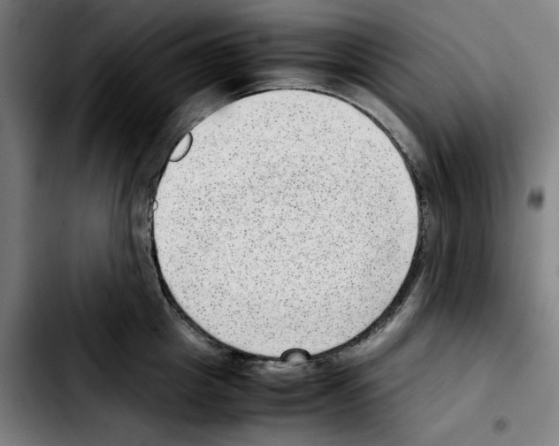 X0000103410857200810241207