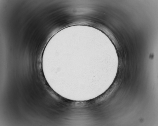 X0000103410858200810241207