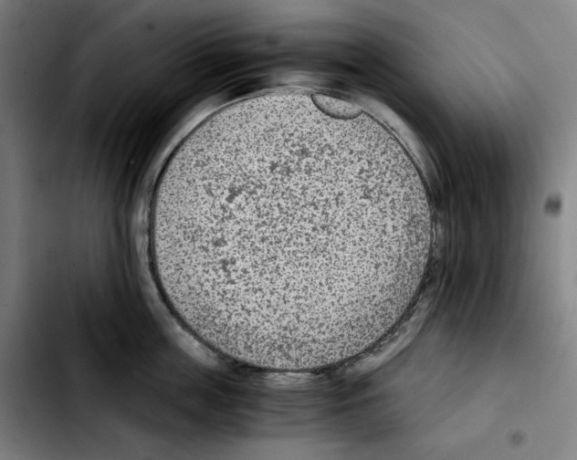 X0000103410859200810241207