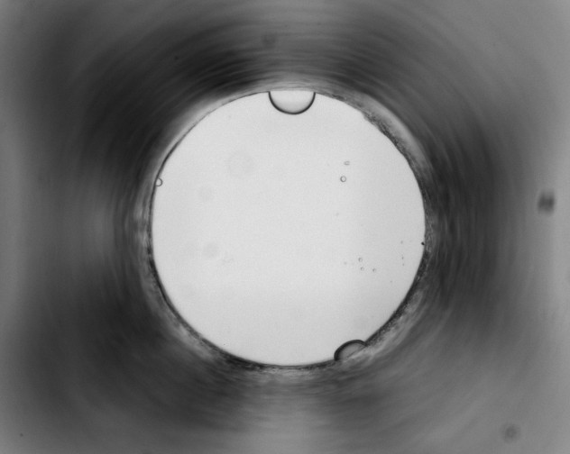 X0000103410860200810241207