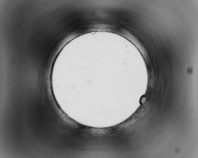 X0000103410861200810241207