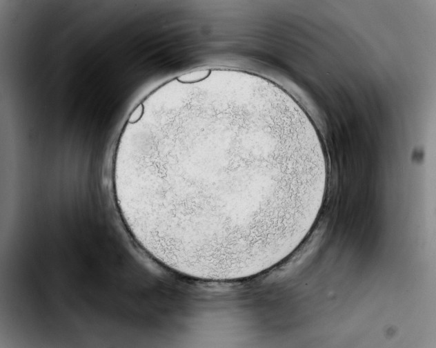 X0000103410862200810241207