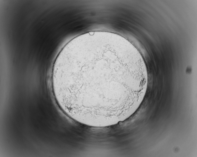 X0000103410863200810241207