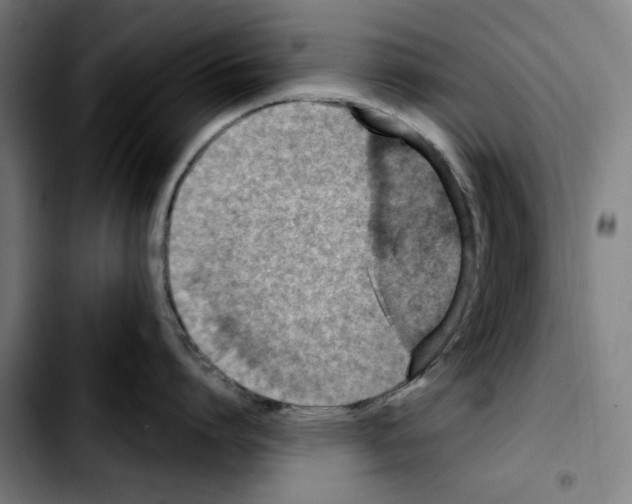 X0000103410864200810241207