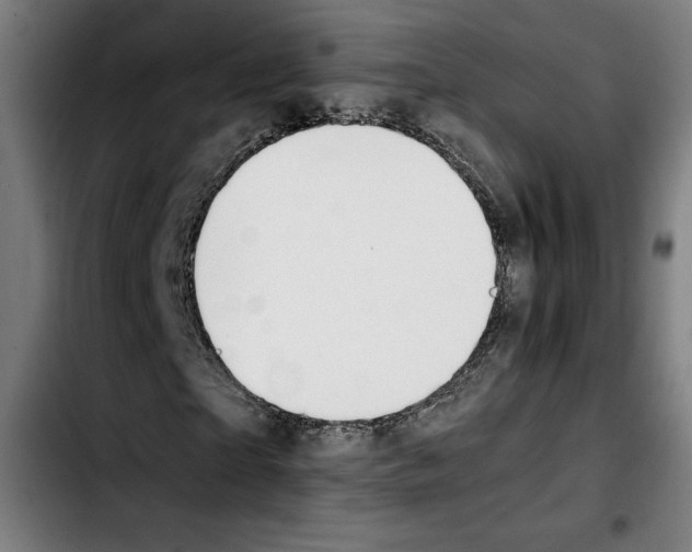 X0000103410865200810241206