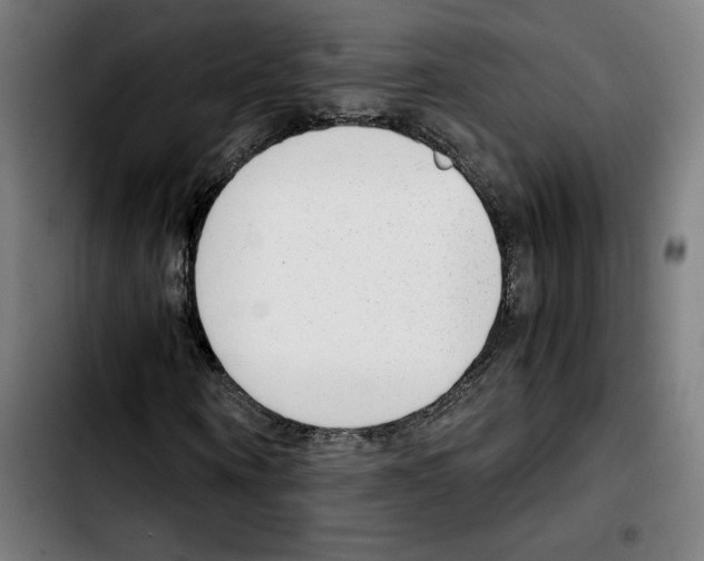 X0000103410866200810241206