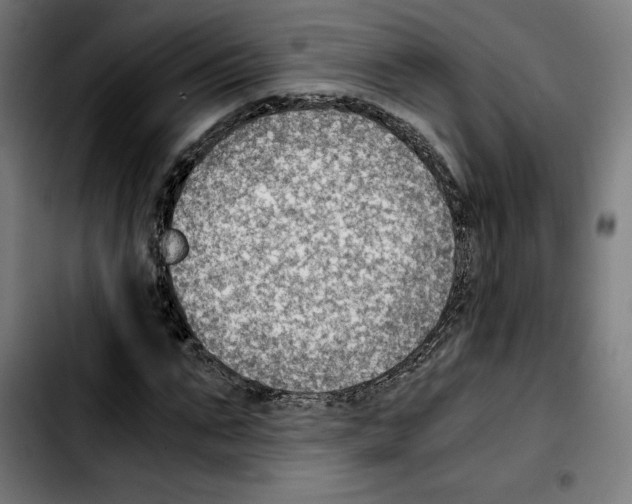 X0000103410871200810241206