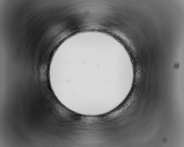 X0000103410873200810241206