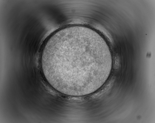 X0000103410874200810241206